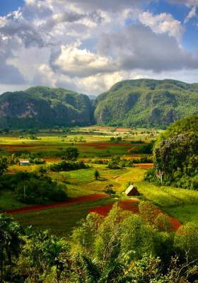 Nature
