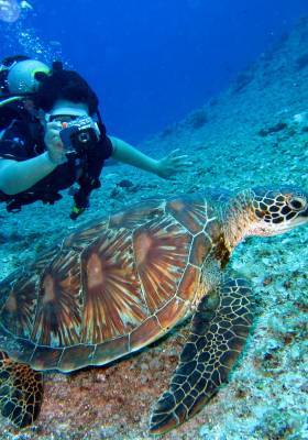 Diving