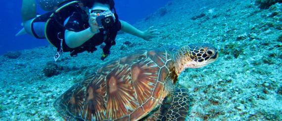 Diving